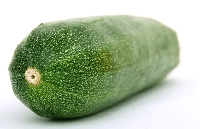 a closeup of a cucumber as the cat would see from their point of view