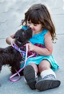 dog licking a little girl