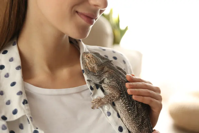 a woman holding a bearded dragon against her chest