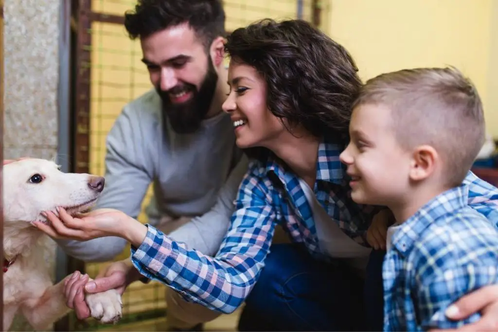 happy family petting a dog they are adopting in a shelter