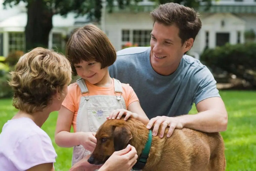 happy family with a mixed breed rescue dog