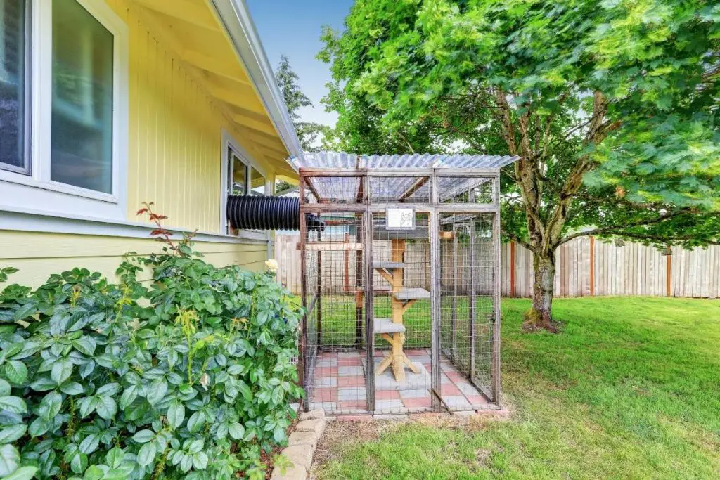 outdoor cat cage attached to a house