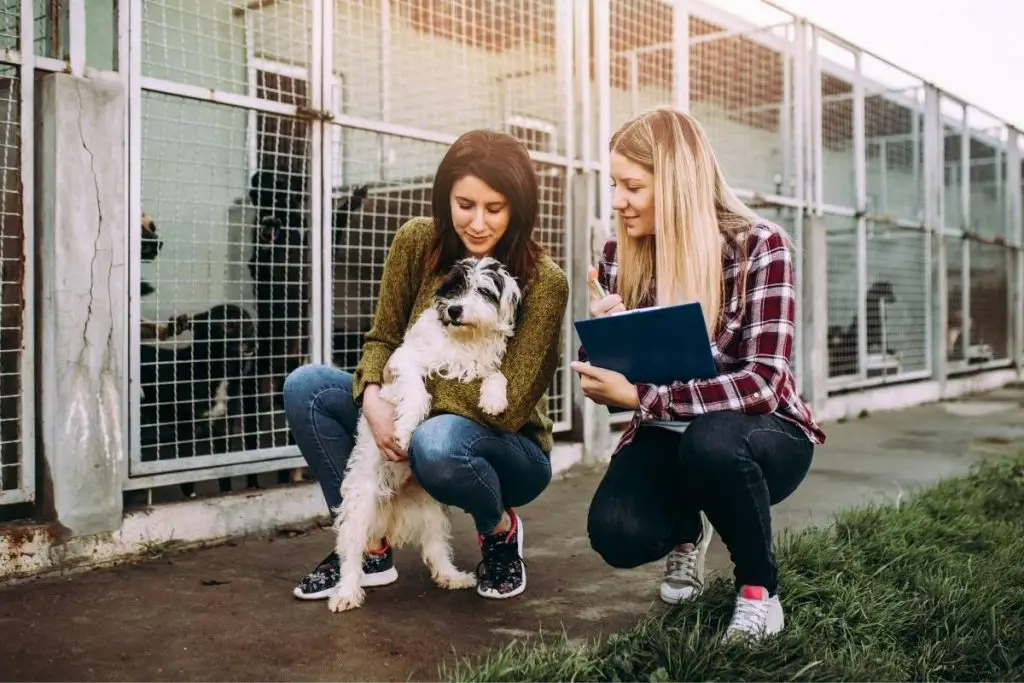 two women at a dog shelter holding a rescue dog