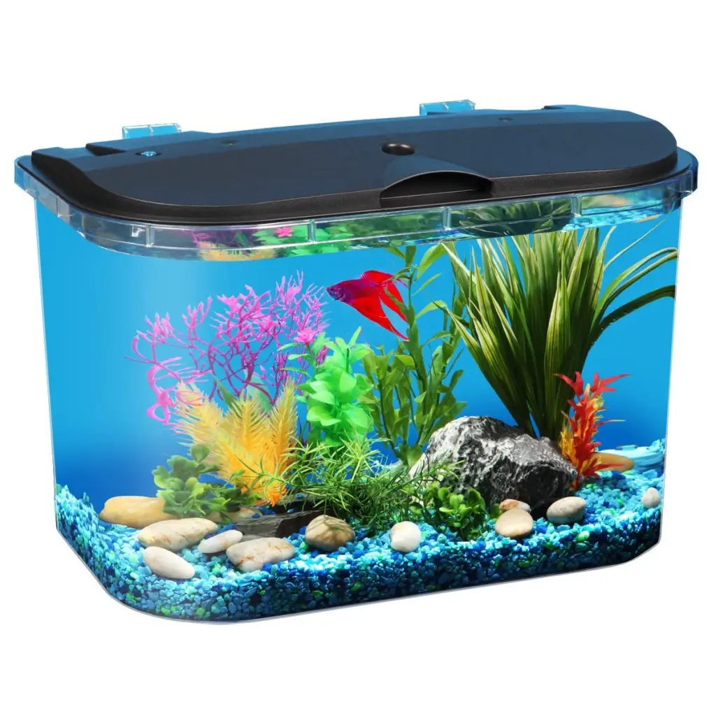 Koller Products 5-Gallon Aquarium Starter Kit