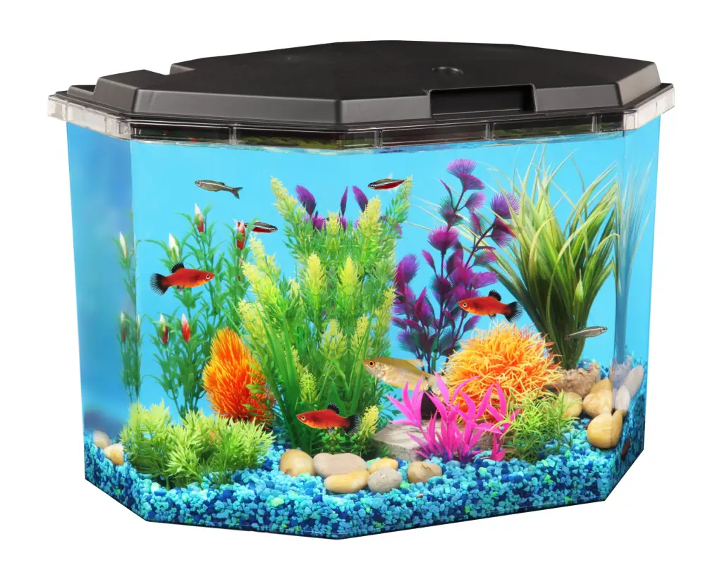 Koller Products 6.5-Gallon Aquarium Kit